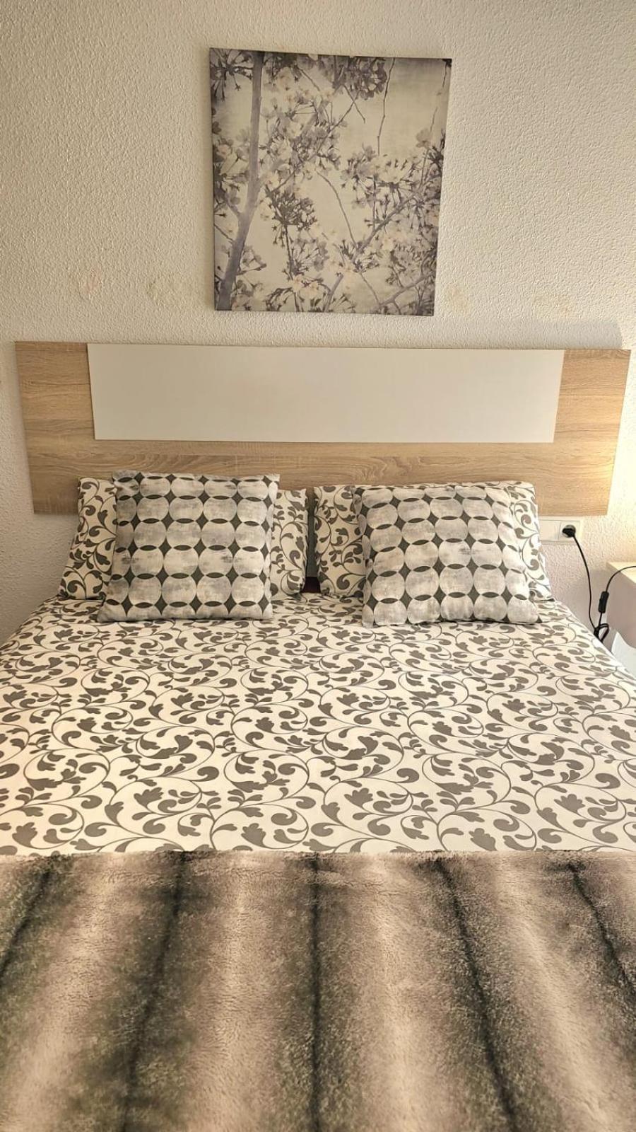 Ideal Holiday Apartment One Bedroom City Center Málaga Extérieur photo